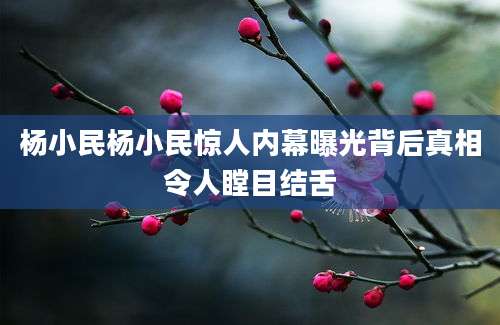 杨小民杨小民惊人内幕曝光背后真相令人瞠目结舌