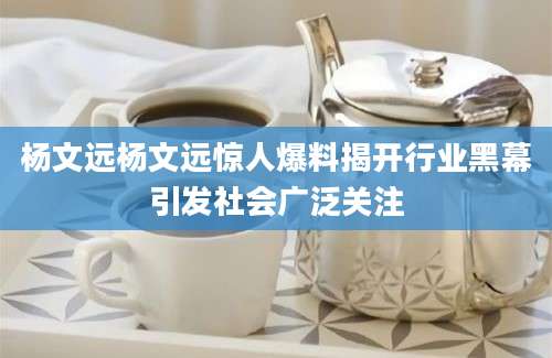 杨文远杨文远惊人爆料揭开行业黑幕引发社会广泛关注