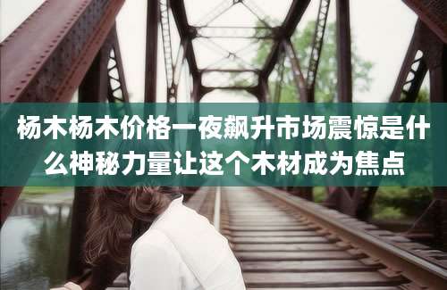 杨木杨木价格一夜飙升市场震惊是什么神秘力量让这个木材成为焦点