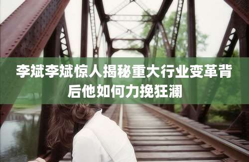 李斌李斌惊人揭秘重大行业变革背后他如何力挽狂澜