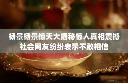 杨景杨景惊天大揭秘惊人真相震撼社会网友纷纷表示不敢相信