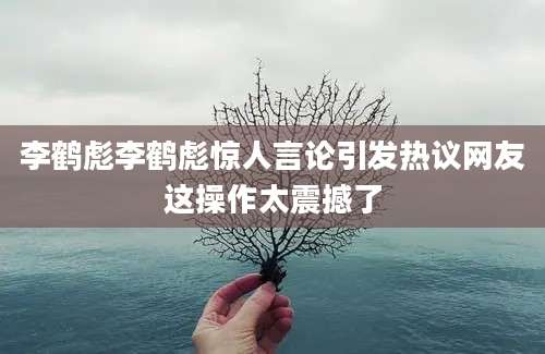 李鹤彪李鹤彪惊人言论引发热议网友这操作太震撼了