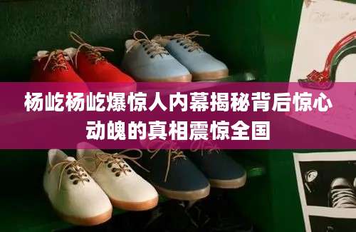杨屹杨屹爆惊人内幕揭秘背后惊心动魄的真相震惊全国