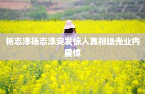 杨志淳杨志淳突发惊人真相曝光业内震惊