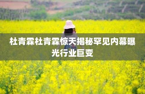 杜青霖杜青霖惊天揭秘罕见内幕曝光行业巨变