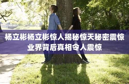 杨立彬杨立彬惊人揭秘惊天秘密震惊业界背后真相令人震惊