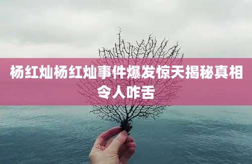 杨红灿杨红灿事件爆发惊天揭秘真相令人咋舌