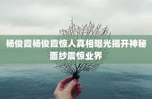 杨俊霞杨俊霞惊人真相曝光揭开神秘面纱震惊业界