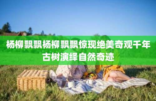 杨柳飘飘杨柳飘飘惊现绝美奇观千年古树演绎自然奇迹