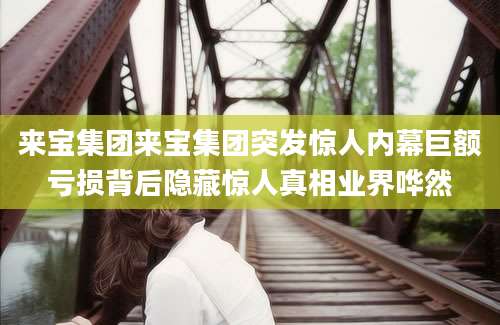 来宝集团来宝集团突发惊人内幕巨额亏损背后隐藏惊人真相业界哗然