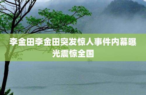 李金田李金田突发惊人事件内幕曝光震惊全国