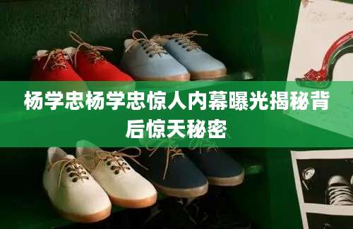 杨学忠杨学忠惊人内幕曝光揭秘背后惊天秘密