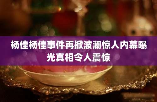 杨佳杨佳事件再掀波澜惊人内幕曝光真相令人震惊