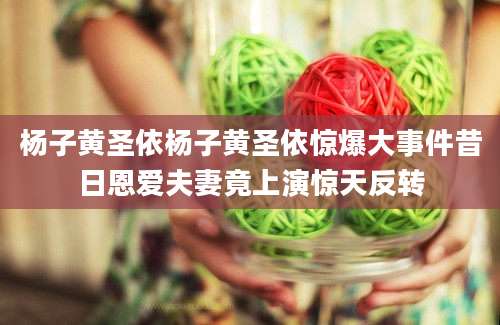 杨子黄圣依杨子黄圣依惊爆大事件昔日恩爱夫妻竟上演惊天反转