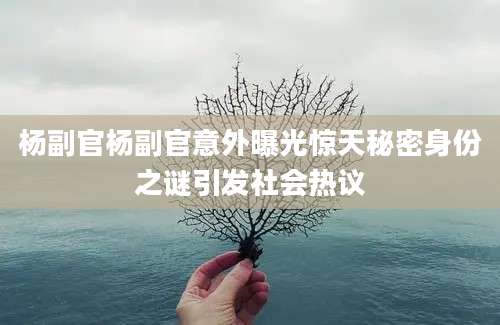 杨副官杨副官意外曝光惊天秘密身份之谜引发社会热议