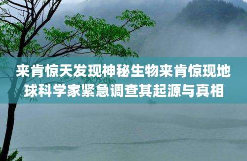 来肯惊天发现神秘生物来肯惊现地球科学家紧急调查其起源与真相