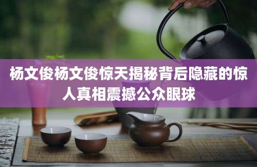 杨文俊杨文俊惊天揭秘背后隐藏的惊人真相震撼公众眼球