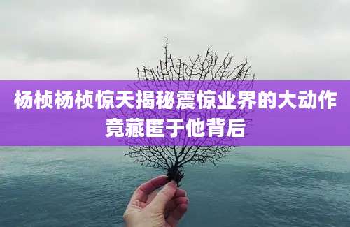杨桢杨桢惊天揭秘震惊业界的大动作竟藏匿于他背后