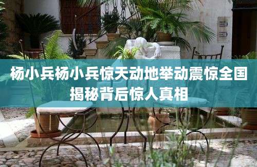 杨小兵杨小兵惊天动地举动震惊全国揭秘背后惊人真相