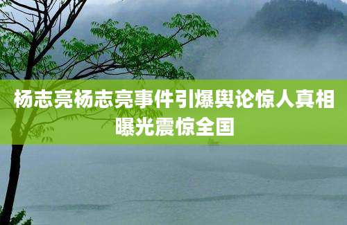 杨志亮杨志亮事件引爆舆论惊人真相曝光震惊全国
