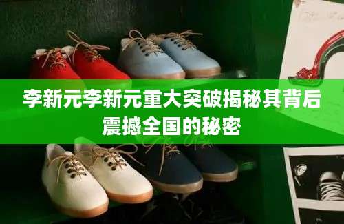 李新元李新元重大突破揭秘其背后震撼全国的秘密