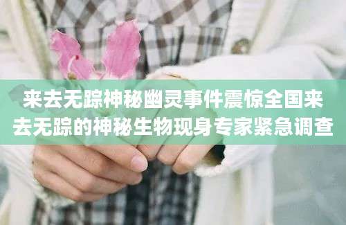 来去无踪神秘幽灵事件震惊全国来去无踪的神秘生物现身专家紧急调查