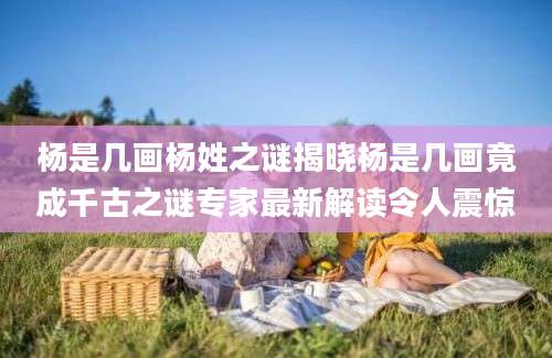 杨是几画杨姓之谜揭晓杨是几画竟成千古之谜专家最新解读令人震惊