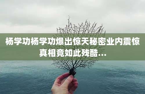 杨学功杨学功爆出惊天秘密业内震惊真相竟如此残酷...
