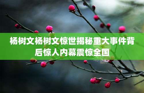 杨树文杨树文惊世揭秘重大事件背后惊人内幕震惊全国