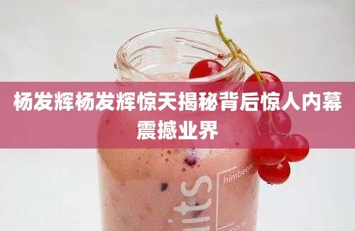 杨发辉杨发辉惊天揭秘背后惊人内幕震撼业界
