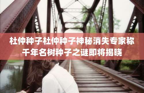 杜仲种子杜仲种子神秘消失专家称千年名树种子之谜即将揭晓