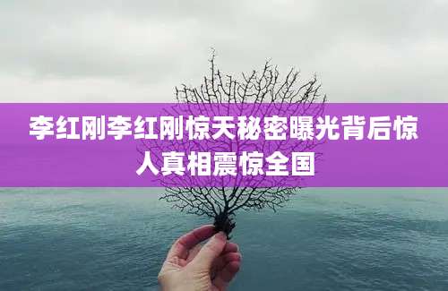 李红刚李红刚惊天秘密曝光背后惊人真相震惊全国