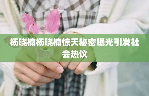 杨晓楠杨晓楠惊天秘密曝光引发社会热议