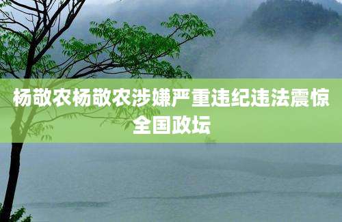 杨敬农杨敬农涉嫌严重违纪违法震惊全国政坛