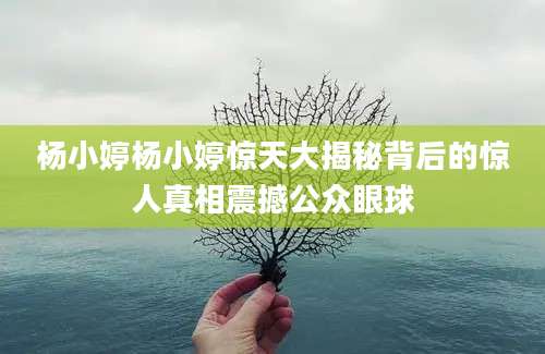 杨小婷杨小婷惊天大揭秘背后的惊人真相震撼公众眼球