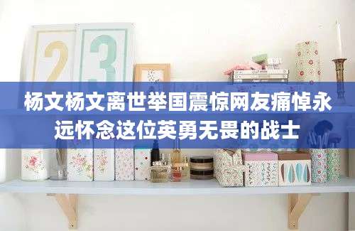 杨文杨文离世举国震惊网友痛悼永远怀念这位英勇无畏的战士