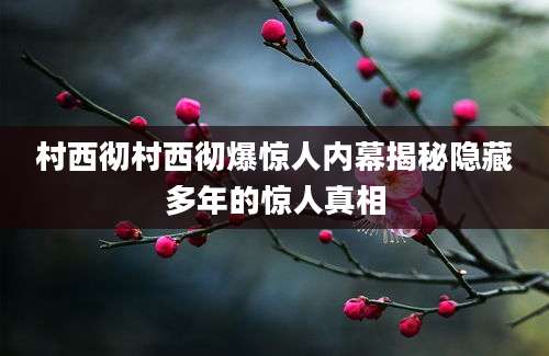 村西彻村西彻爆惊人内幕揭秘隐藏多年的惊人真相