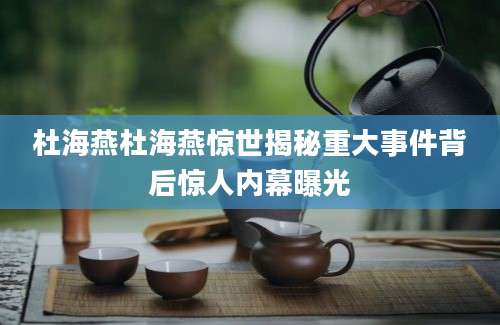 杜海燕杜海燕惊世揭秘重大事件背后惊人内幕曝光