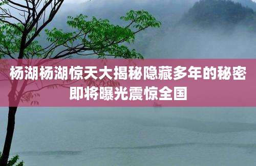 杨湖杨湖惊天大揭秘隐藏多年的秘密即将曝光震惊全国