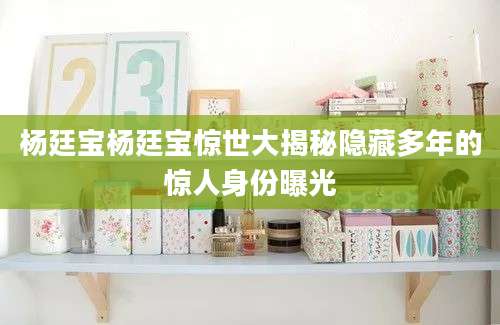 杨廷宝杨廷宝惊世大揭秘隐藏多年的惊人身份曝光