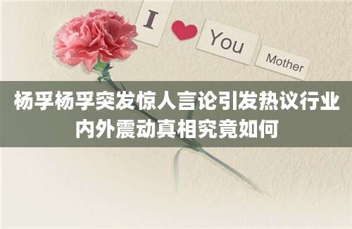 杨孚杨孚突发惊人言论引发热议行业内外震动真相究竟如何