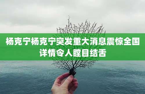 杨克宁杨克宁突发重大消息震惊全国详情令人瞠目结舌