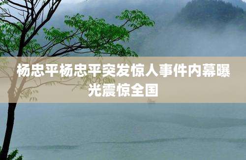 杨忠平杨忠平突发惊人事件内幕曝光震惊全国
