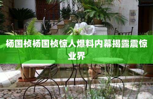 杨国桢杨国桢惊人爆料内幕揭露震惊业界