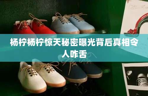 杨柠杨柠惊天秘密曝光背后真相令人咋舌