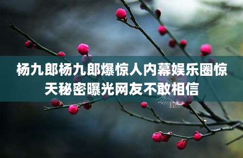 杨九郎杨九郎爆惊人内幕娱乐圈惊天秘密曝光网友不敢相信