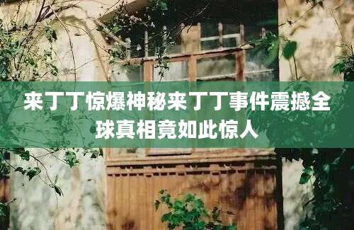 来丁丁惊爆神秘来丁丁事件震撼全球真相竟如此惊人