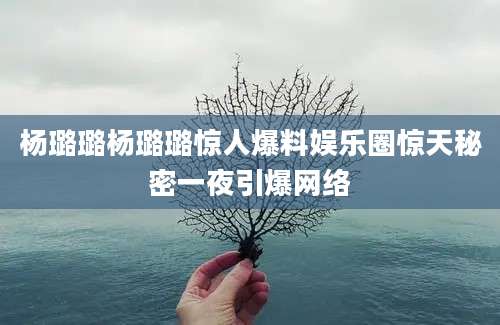 杨璐璐杨璐璐惊人爆料娱乐圈惊天秘密一夜引爆网络
