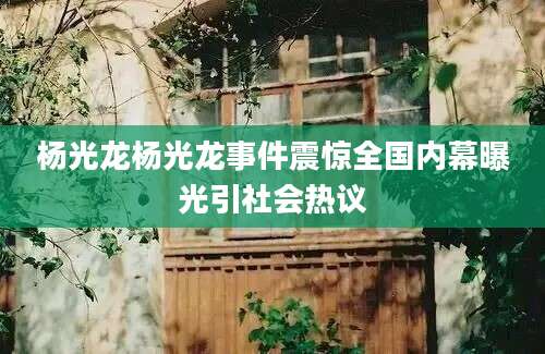 杨光龙杨光龙事件震惊全国内幕曝光引社会热议