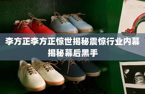 李方正李方正惊世揭秘震惊行业内幕揭秘幕后黑手
